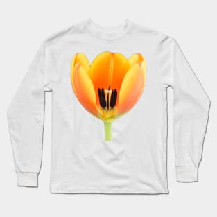 Close-up of a orange-yellowish tulip Long Sleeve T-Shirt